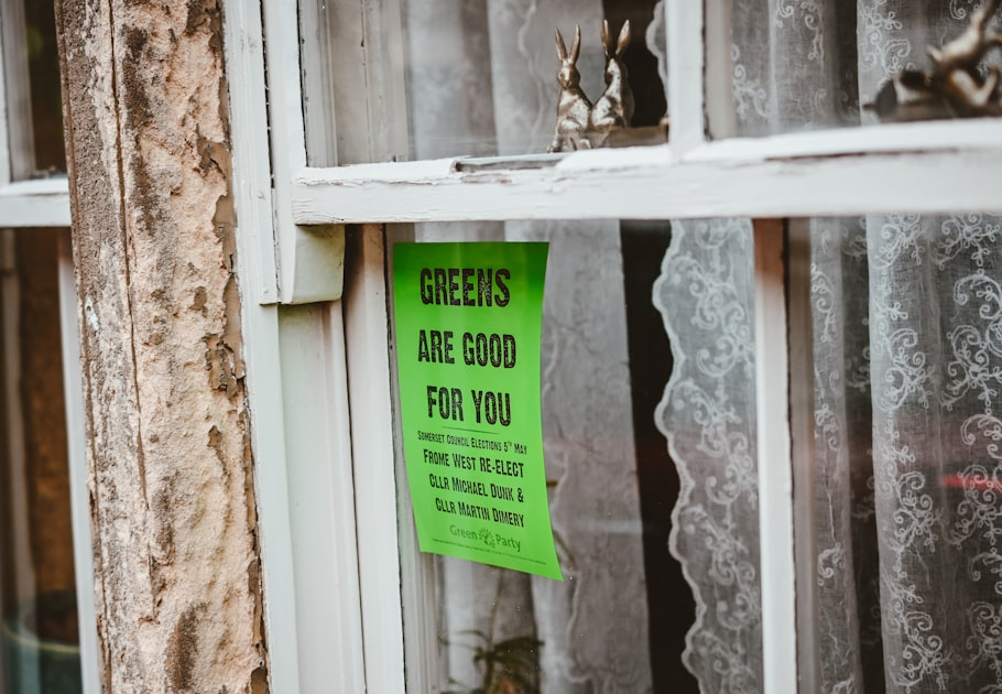 Environmental Impact and Community Representation